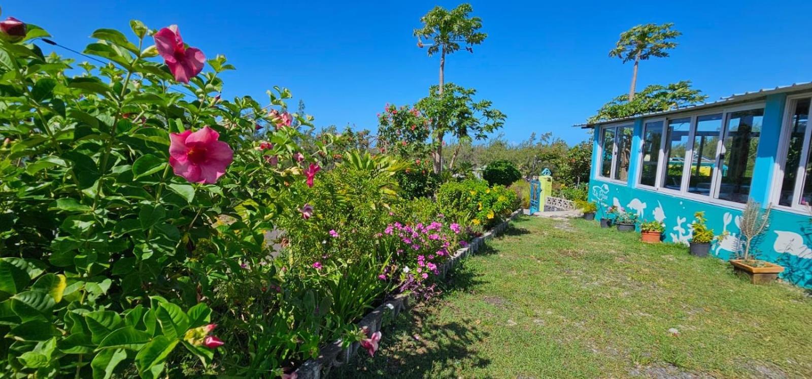 Tilapasse Resto & Guest House Port South East المظهر الخارجي الصورة
